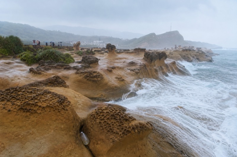 Shore Excursion, Geopark And Cats