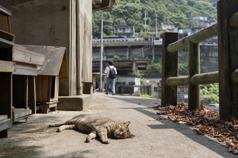 Houtong Cat Village, Four Stops