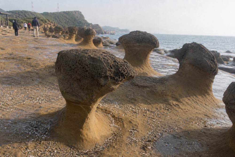 Mushroom-shaped rock formations standing in rows along a wave-cut coastal platform