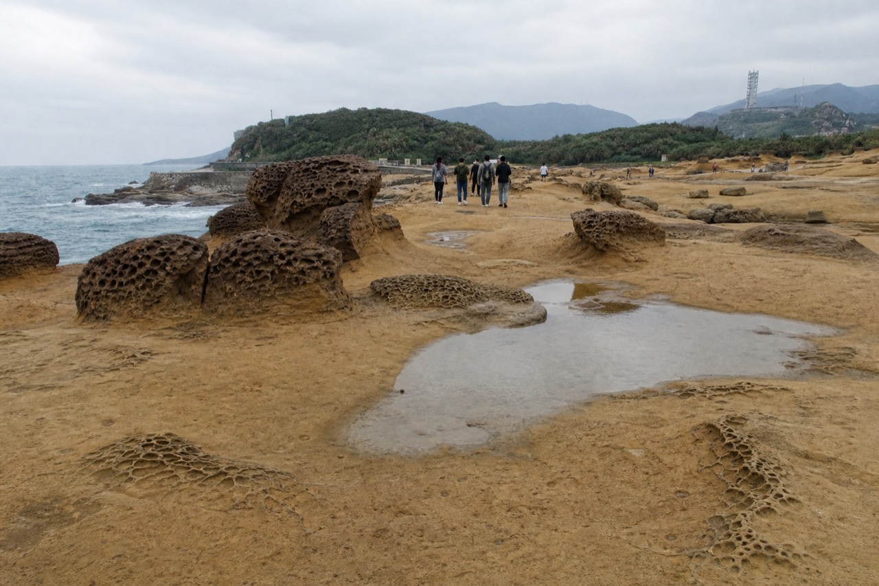 Weathered honeycomb rock formations on a coastal headland under a cloudy sky