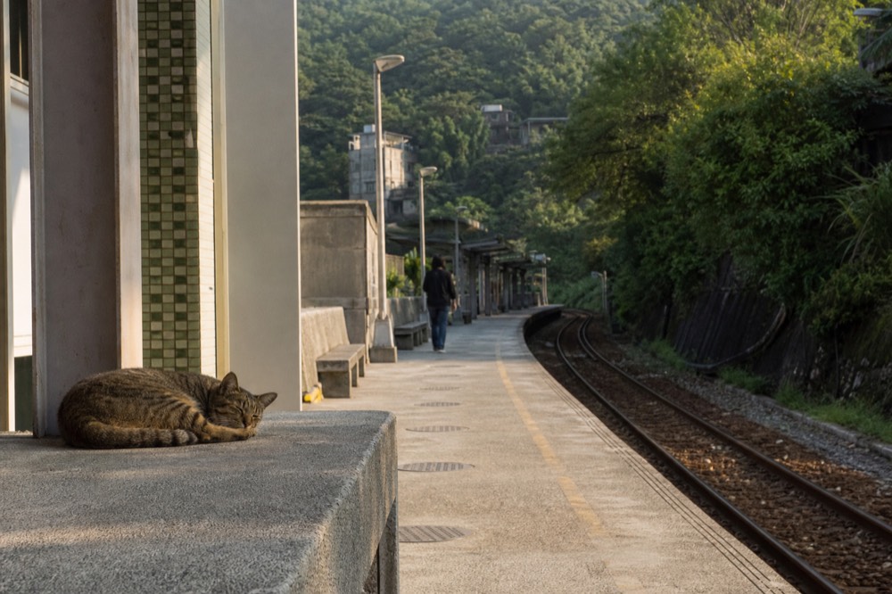 A train platform at a small rural station with green hills behind it in afternoon light