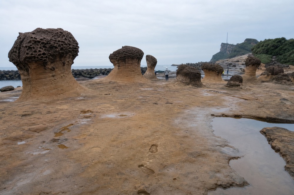 Rows of mushroom-shaped rock formations standing on a wave-cut rock platform beside the sea