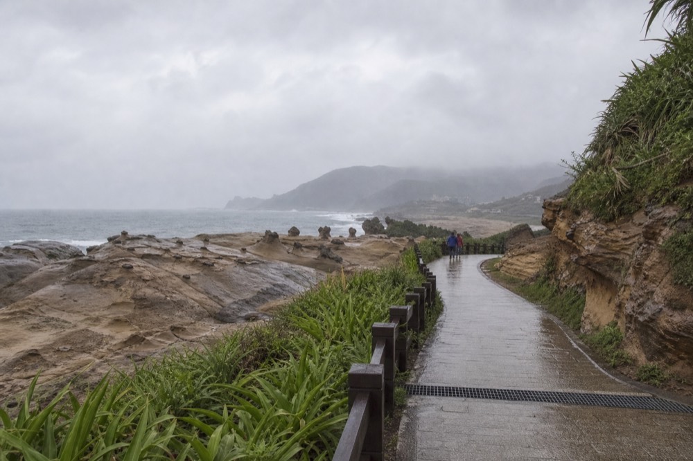 Sea stacks and eroded rock platforms seen along a headland trail under a cloudy sky