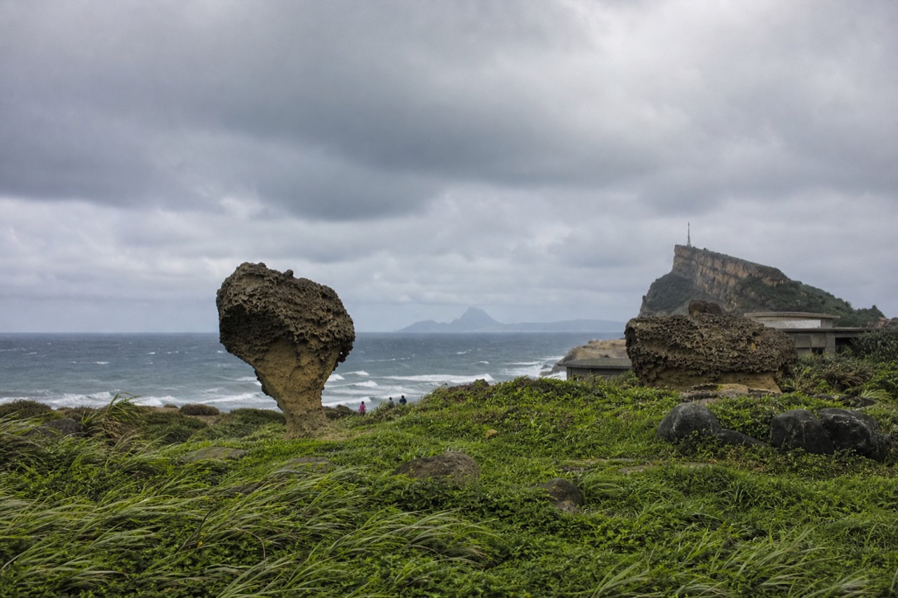 Weathered mushroom rock formations standing on a grassy coastal headland above the sea