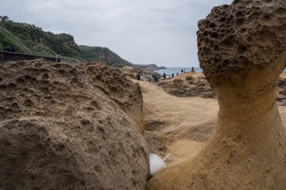 Weathered mushroom-shaped rock formations standing on a flat coastal cape beside a grey sea under a cloudy sky.