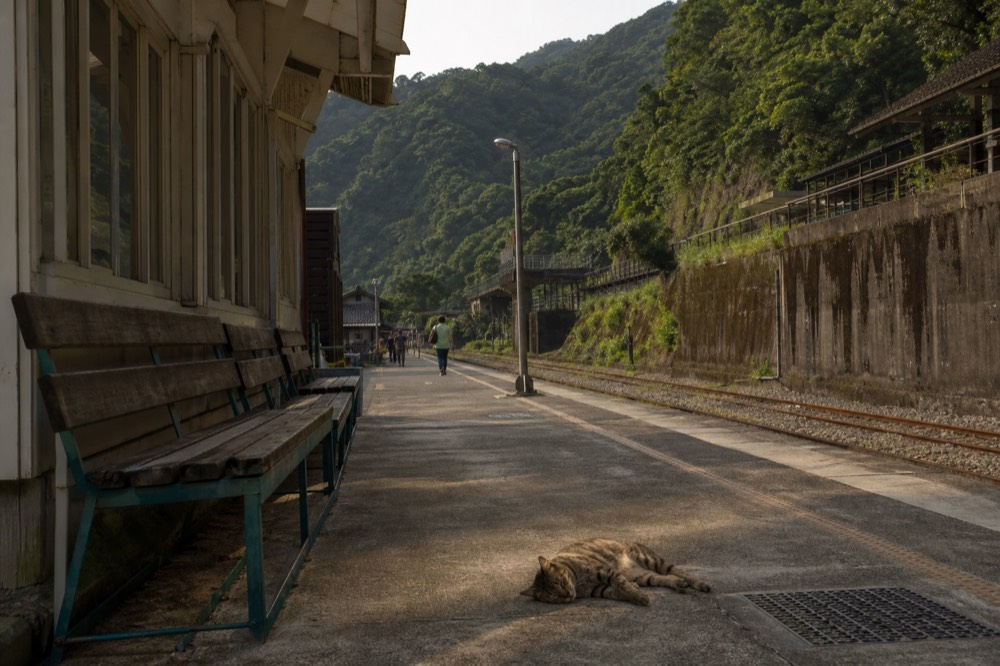 A small rural station platform with wooden benches and green hills rising behind the tracks
