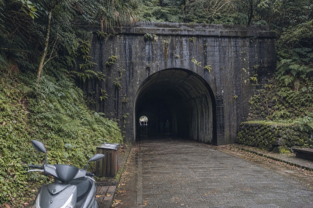 A dark stone mine tunnel entrance set into a fern-covered hillside