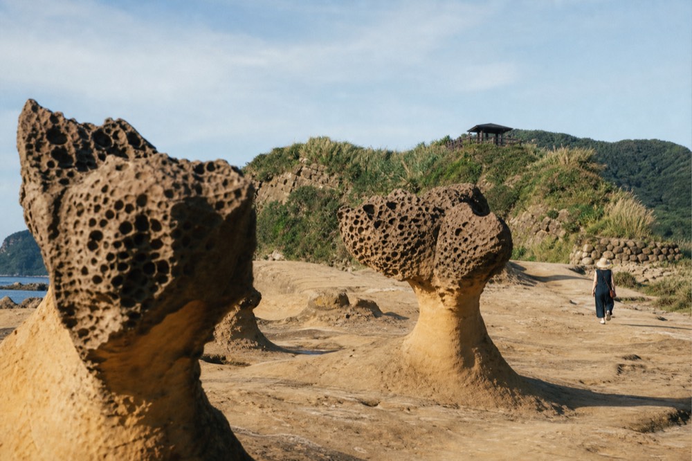 Sculptured sandstone rock formations on a coastal headland under afternoon light