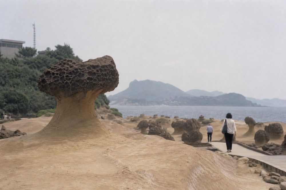 Mushroom-shaped sandstone rock formations standing on a windswept coastal headland